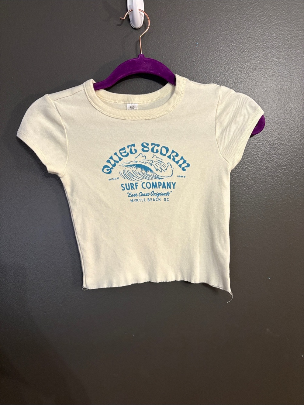 Quiet Storm Surf Company Women's Cream Graphic Crop Tee